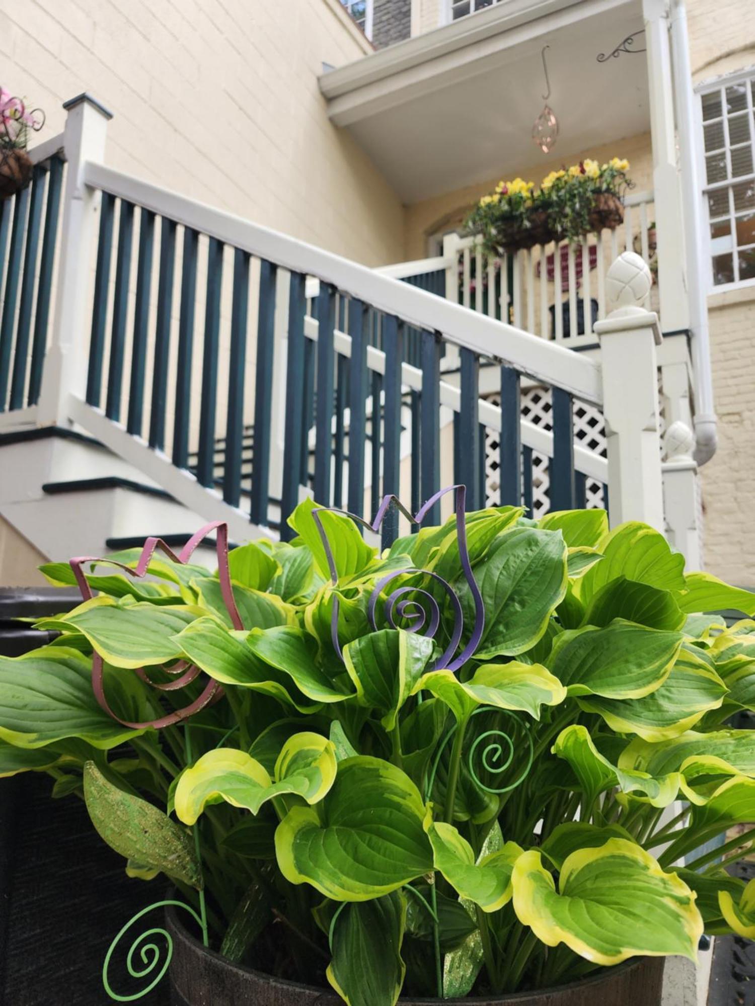 The Richard Johnston Inn & 1890 Caroline House 프레드릭스버그 외부 사진